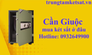 két sắt cần giuộc